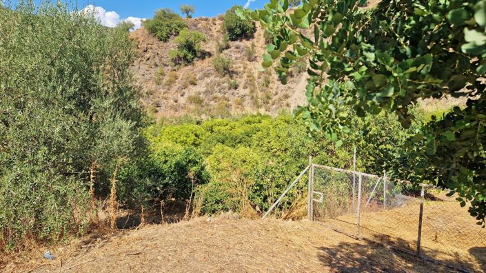 Image No.31-Maison de campagne de 4 chambres à vendre à Comares