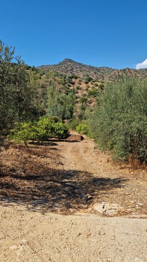 Image No.32-Maison de campagne de 4 chambres à vendre à Comares