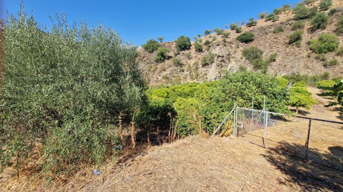 Image No.33-Maison de campagne de 4 chambres à vendre à Comares