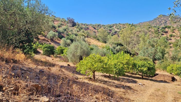Image No.34-Maison de campagne de 4 chambres à vendre à Comares