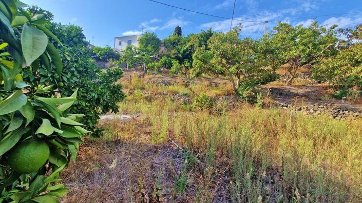 Image No.32-Maison de campagne de 2 chambres à vendre à Vinuela