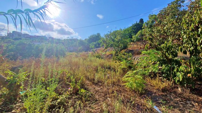 Image No.33-Maison de campagne de 2 chambres à vendre à Vinuela
