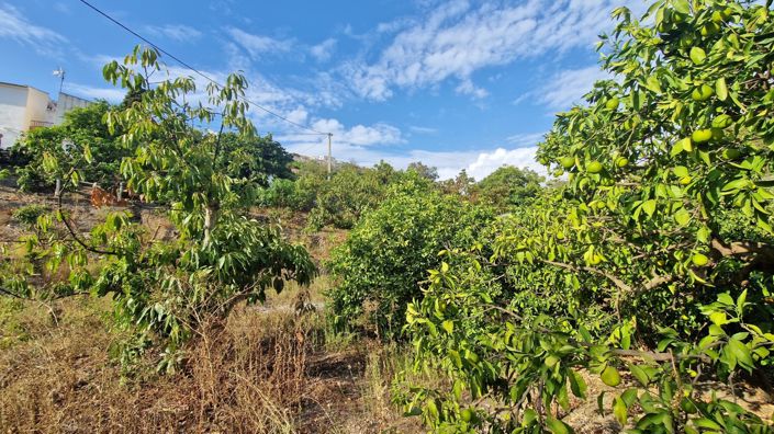 Image No.34-Maison de campagne de 2 chambres à vendre à Vinuela