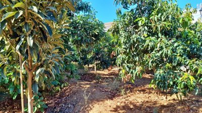 318fxwe6bg6whatsapp20image202024-10-0720at201