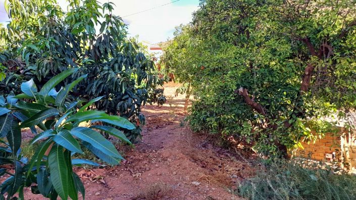 Image No.9-Terre à vendre à Benamargosa