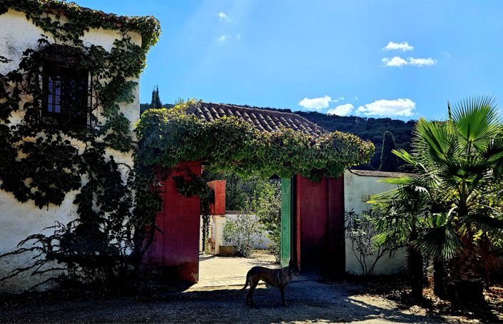 Image No.13-Maison de campagne de 4 chambres à vendre à Grenade