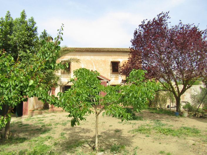 Image No.17-Maison de campagne de 4 chambres à vendre à Grenade