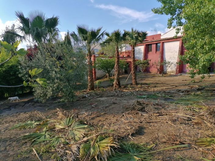 Image No.28-Maison de campagne de 4 chambres à vendre à Grenade