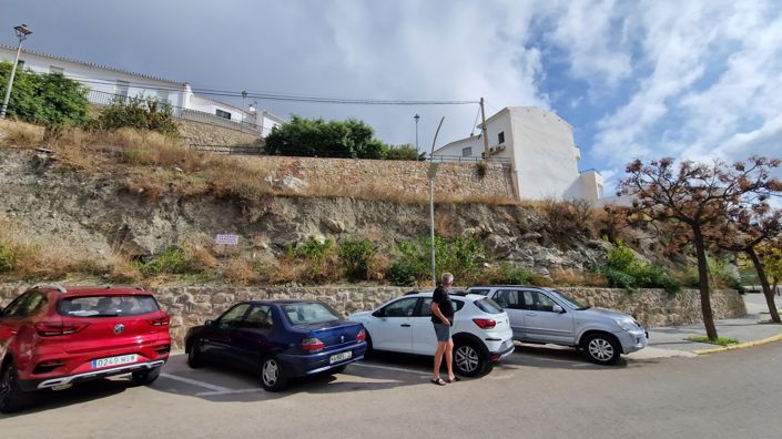 Image No.3-Terre à vendre à Canillas de Aceituno