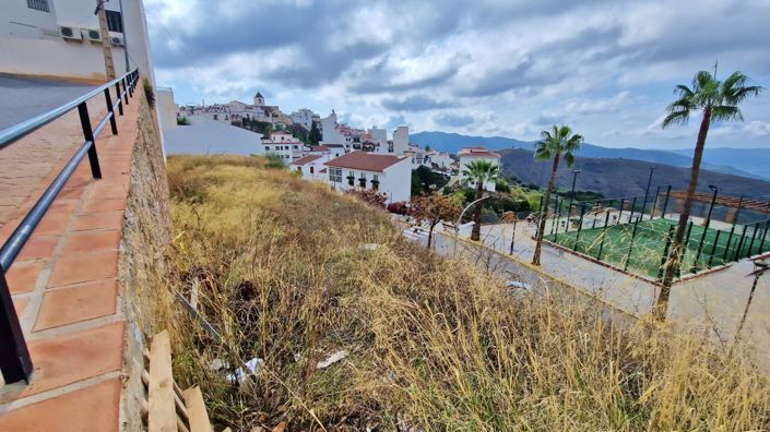 Image No.4-Terre à vendre à Canillas de Aceituno