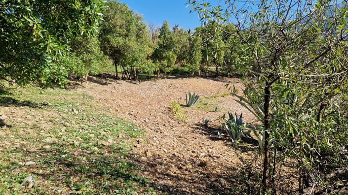 Image No.41-Maison de campagne de 3 chambres à vendre à Alcaucín