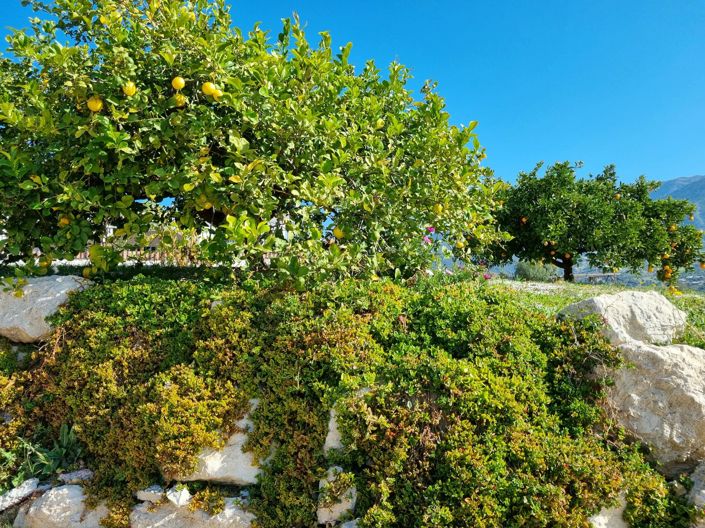 Image No.43-Maison de campagne de 3 chambres à vendre à Alcaucín