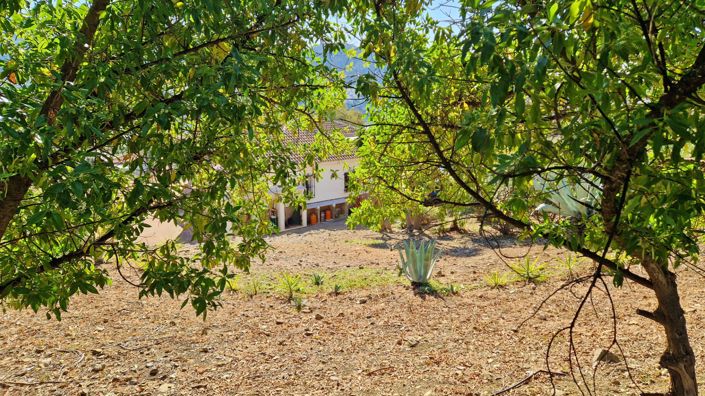 Image No.44-Maison de campagne de 3 chambres à vendre à Alcaucín