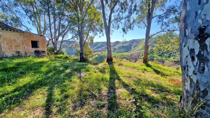 Image No.3-Maison de campagne de 3 chambres à vendre à Almáchar