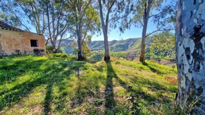 5l3euithsba20250214113912