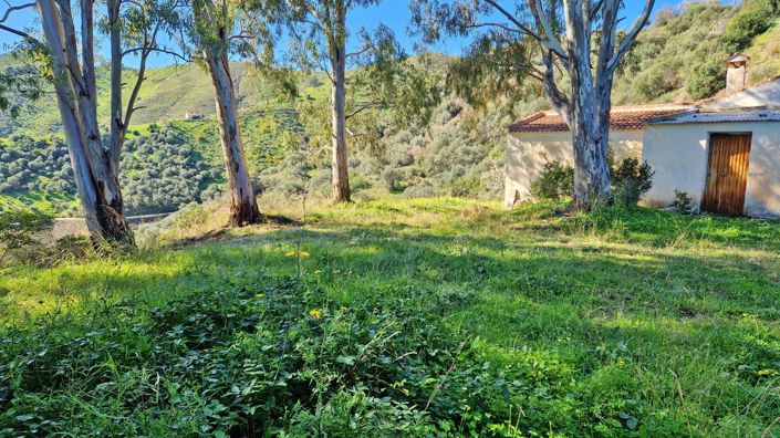 Image No.5-Maison de campagne de 3 chambres à vendre à Almáchar