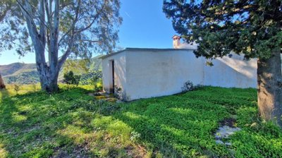 doqkqny01zu20250214113905