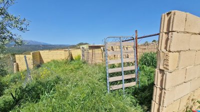 5qtuizstzsf20250424123331