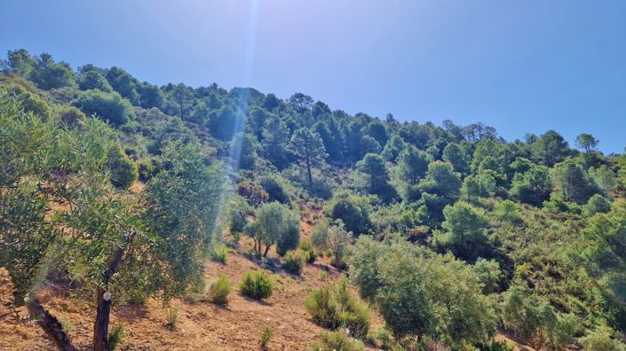 Image No.19-Maison de campagne de 2 chambres à vendre à Jayena