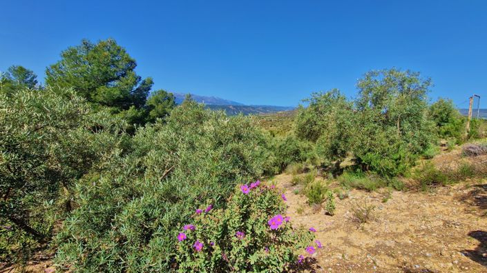 Image No.2-Maison de campagne de 2 chambres à vendre à Jayena