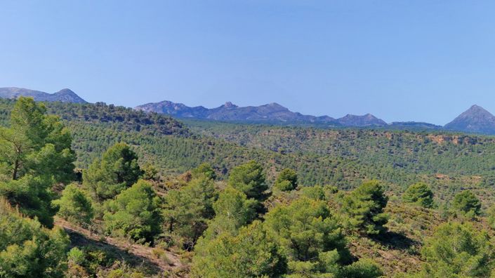 Image No.20-Maison de campagne de 2 chambres à vendre à Jayena
