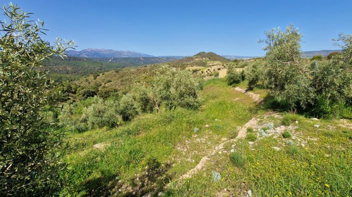 Image No.21-Maison de campagne de 2 chambres à vendre à Jayena