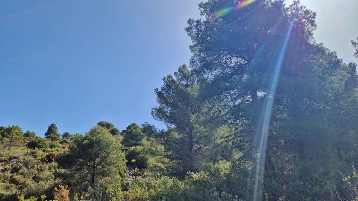 Image No.22-Maison de campagne de 2 chambres à vendre à Jayena