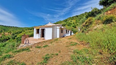 5wewiztlfp20250513115523