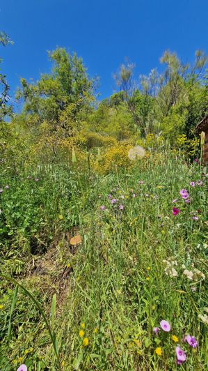 Image No.40-Maison de campagne de 3 chambres à vendre à Málaga City