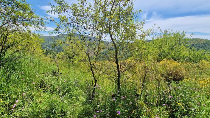 Image No.43-Maison de campagne de 3 chambres à vendre à Málaga City