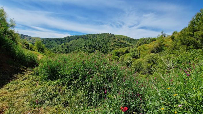 Image No.45-Maison de campagne de 3 chambres à vendre à Málaga City