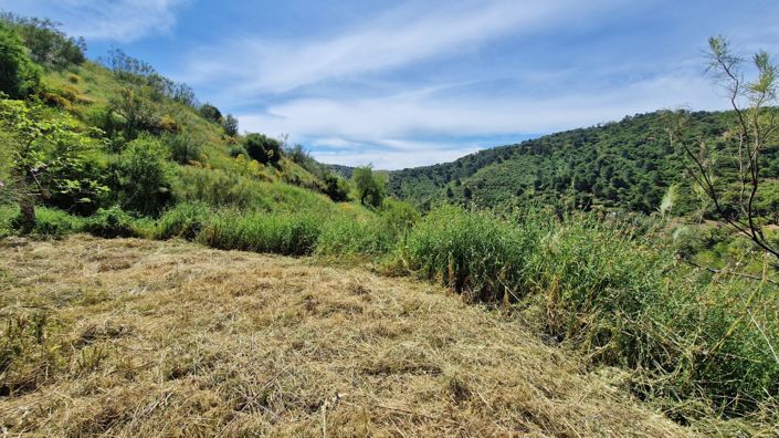Image No.46-Maison de campagne de 3 chambres à vendre à Málaga City
