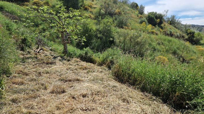 Image No.47-Maison de campagne de 3 chambres à vendre à Málaga City