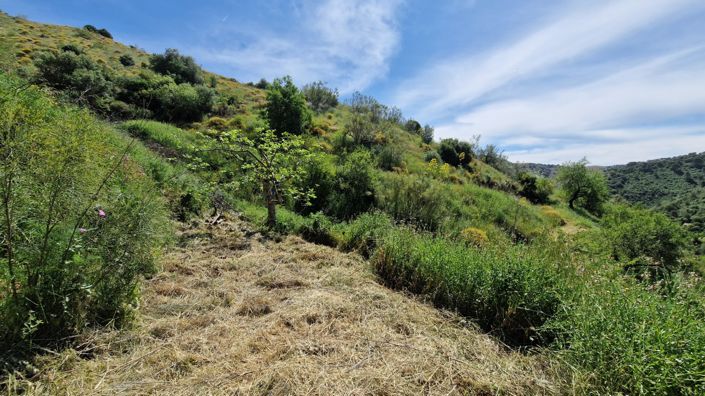 Image No.48-Maison de campagne de 3 chambres à vendre à Málaga City
