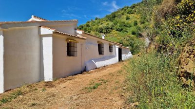 syr20s4nsii20250513120529