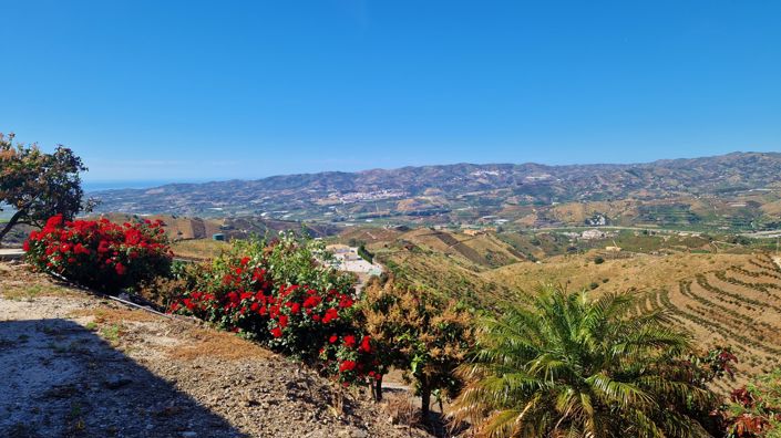 Image No.20-Maison de campagne de 4 chambres à vendre à Vélez-Málaga