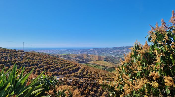 Image No.24-Maison de campagne de 4 chambres à vendre à Vélez-Málaga