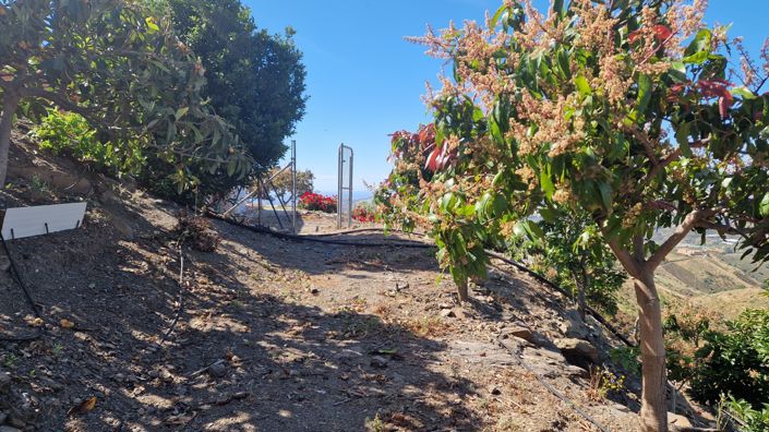 Image No.26-Maison de campagne de 4 chambres à vendre à Vélez-Málaga