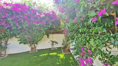 iz0n5dq099g20250617115942