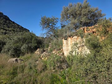 85chxc4kkgwhatsapp20image202025-08-2920at2015