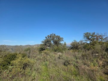 vbv8dhe3eywhatsapp20image202025-08-2920at2015