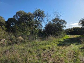 lukh3jbghwowhatsapp20image202025-08-2920at201