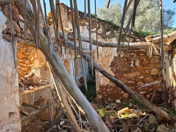 3cz99mxrvfdwhatsapp20image202025-08-2920at201