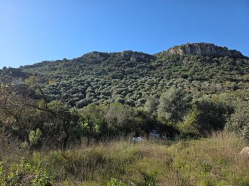 5rmp2n45sjwhatsapp20image202025-08-2920at2015