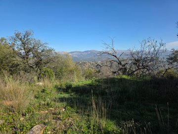 1cto1h5r50zwhatsapp20image202025-08-2920at201