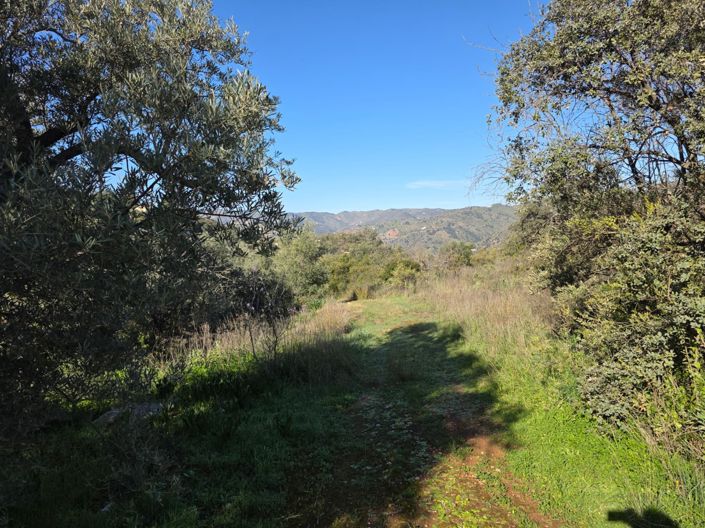 Image No.7-3 Bed Property for sale