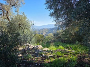 ifo00ua7ubmwhatsapp20image202025-08-2920at201