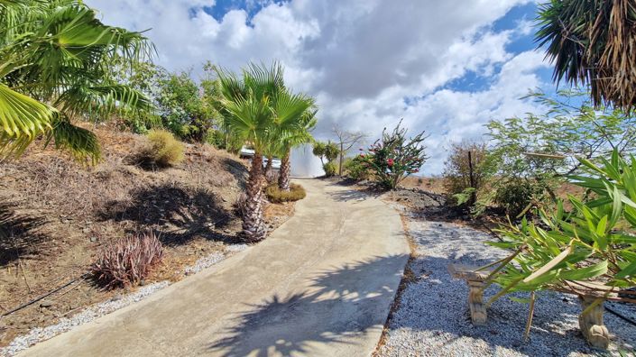 Image No.42-Maison de campagne de 4 chambres à vendre à Canillas de Aceituno