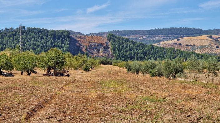 Image No.25-Maison de campagne de 2 chambres à vendre à Fornes