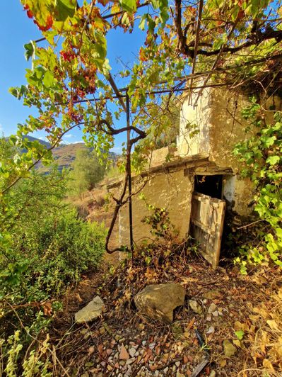 Image No.24-Maison de village de 3 chambres à vendre à Canillas de Aceituno